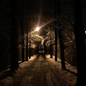 孤独和小屋（demo）