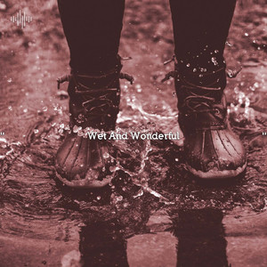 Rainy Day Sounds On A Tin Roof