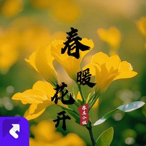 春暖花开（DJ舞曲版）