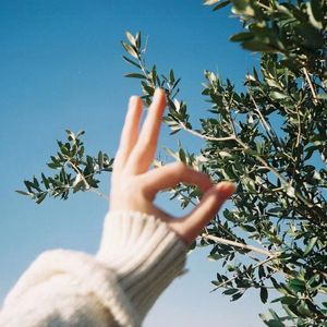 想你时风起（翻唱）