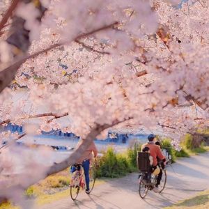 云端之上夏日海