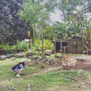 不停耕耘的奋斗