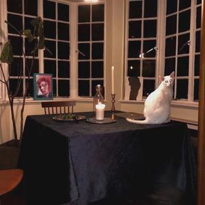 平平淡淡，简单的幸福