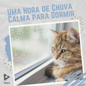 Pingos de Chuva Surround