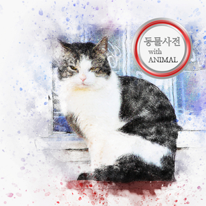 메리의 크리스마스