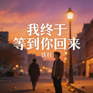 我终于等到你回来