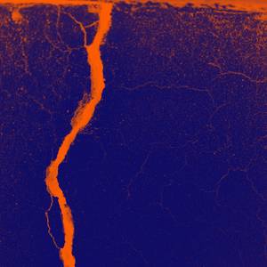 变现(Prod EVOMUSIC )