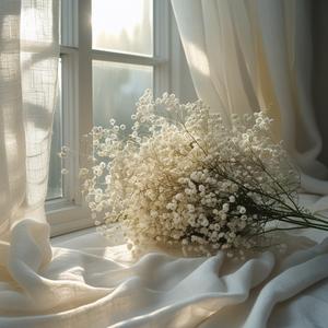 사진 (B-side track)