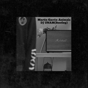 Martin Garrix-Animals(UNAM Bootleg)
