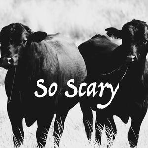 So Scary (feat. Rals)