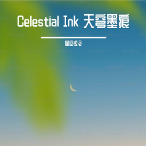 《Stardust Serenade (星尘夜曲)》