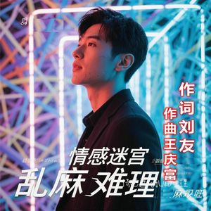 情感迷宫乱麻难理