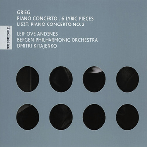 Piano Concerto in A Minor, Op.16: I. Allegro molto moderato