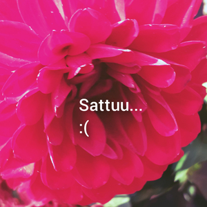 Sattuu (Tunteet Remix)