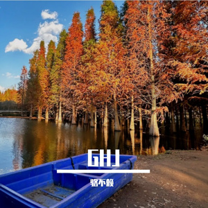 萤火虫点亮夜的灯盏