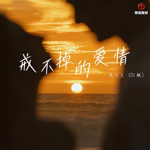戒不掉的爱情（DJ豪大大版）伴奏