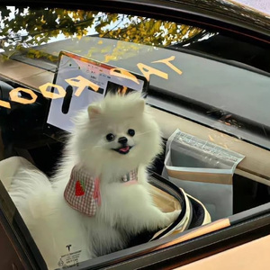 永不失联的爱（伴奏）