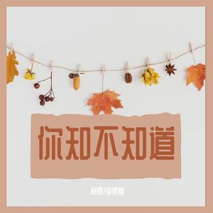 你知不知道