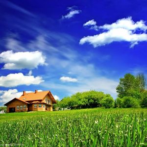 在我心里一直有个小秘密