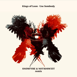 Kings of Leon - Use Somebody (SNOWFYRE & NOTSOSW33T Remix)