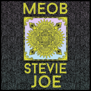 Stevie Joe