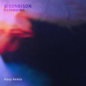 Expanding (Hauy Remix)