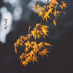 点将