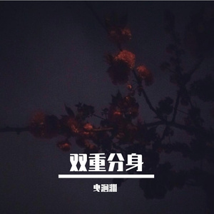 双重分身（升调ver.）