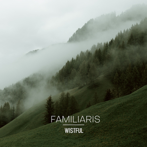 Wistful
