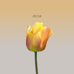 I Love You More Than Everything