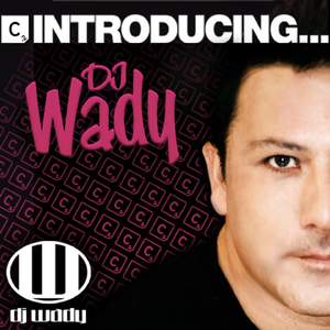 Needin U (DJ Wady Ibiza Mix)
