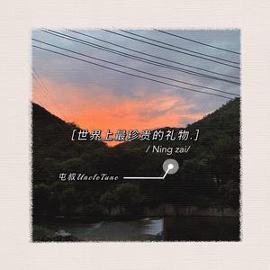 世界上最珍贵的礼物（钢琴曲）