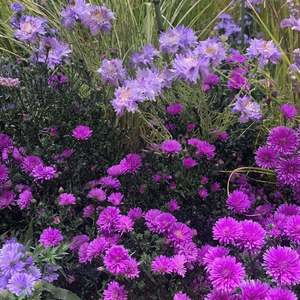 不要离开（Prod.PUNISHME）