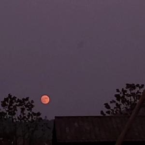 又是一个睡不着的夜晚