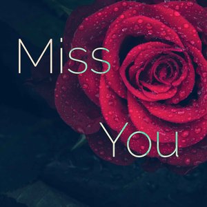 Miss You