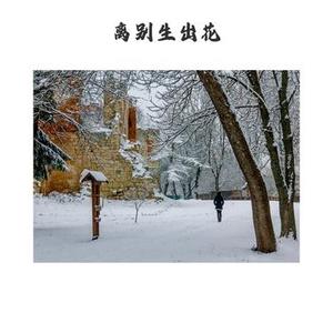 枯木生出芽 竖琴版