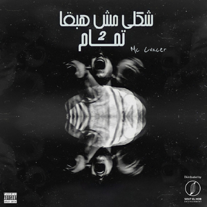 Shakly Msh Habka Tmam, Pt. 2 (Pt,2)