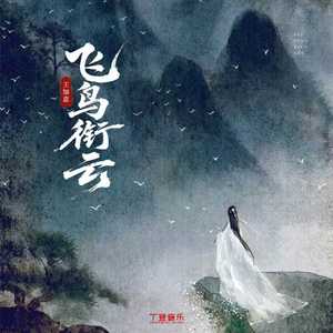 飞鸟衔云（DJ弹鼓降速版）