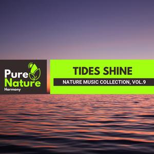 Savouring the Steady Campfire