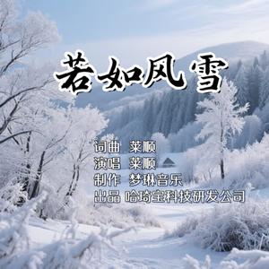 若如风雪