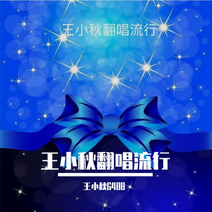 我爱你，中国-王小秋翻唱流行wav.wav