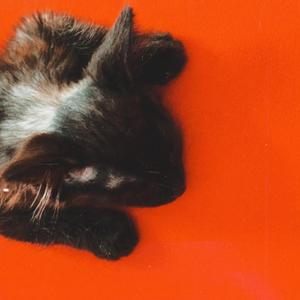 sommeil