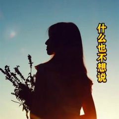 什么也不想说DJ (钰柃版)