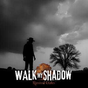 Walk My Shadow
