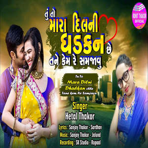 Tu To Mara Dilni Dhadkan Chhe Tane Kem Re Samjayu