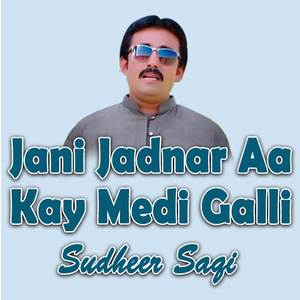 Jani Jadnar Aa Kay Medi Galli