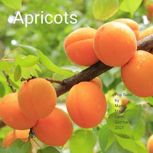 Apricots