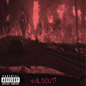 WILDOUT