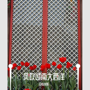 风吹过南大西洋