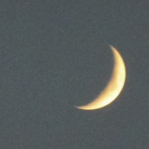 无与伦比的美丽